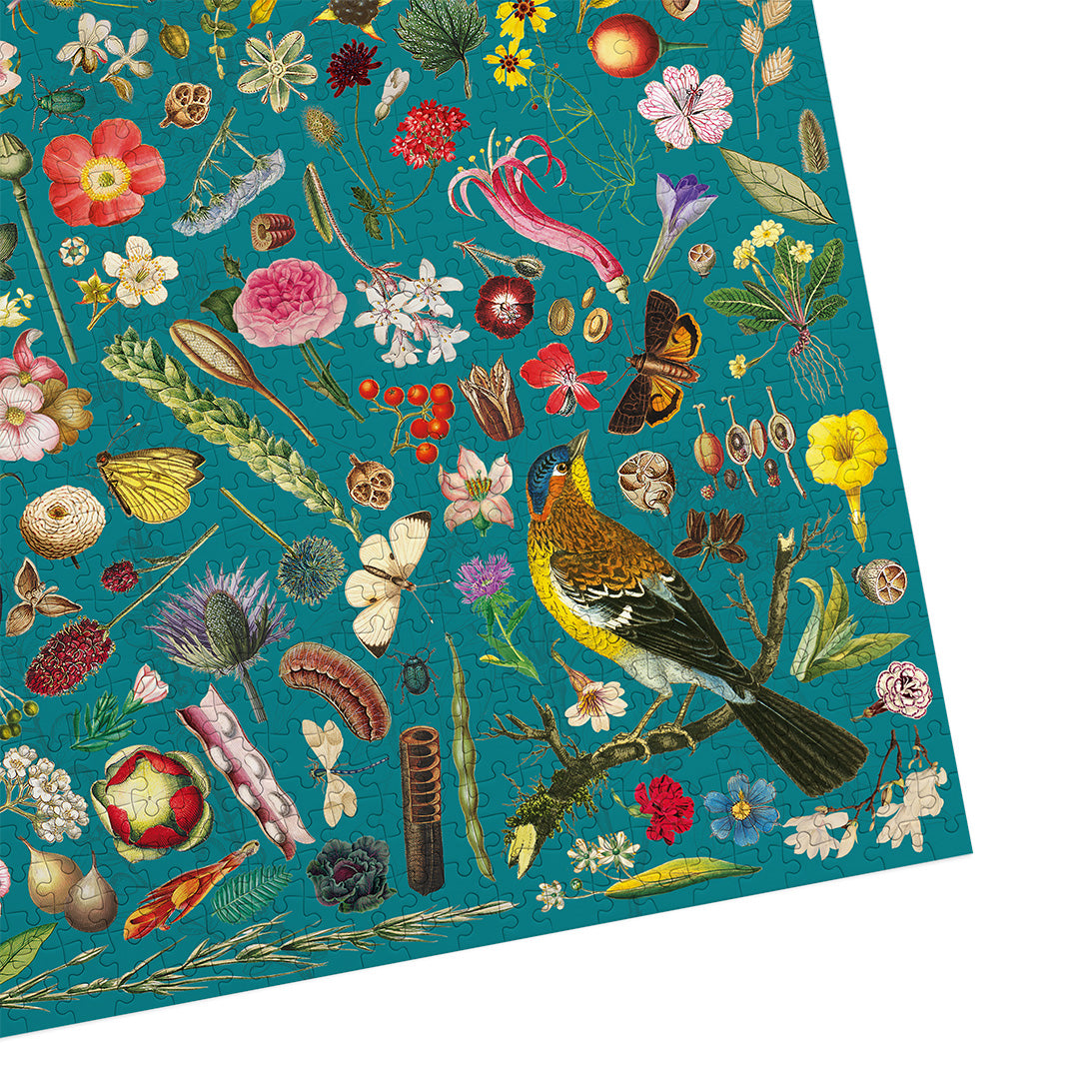 RHS Floral Fantasy 1000 piece jigsaw puzzle – Gibsons US