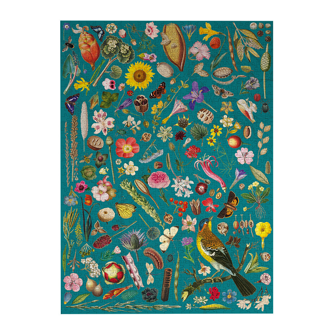 G7161_RHS_Floral_Fantasy_Portr