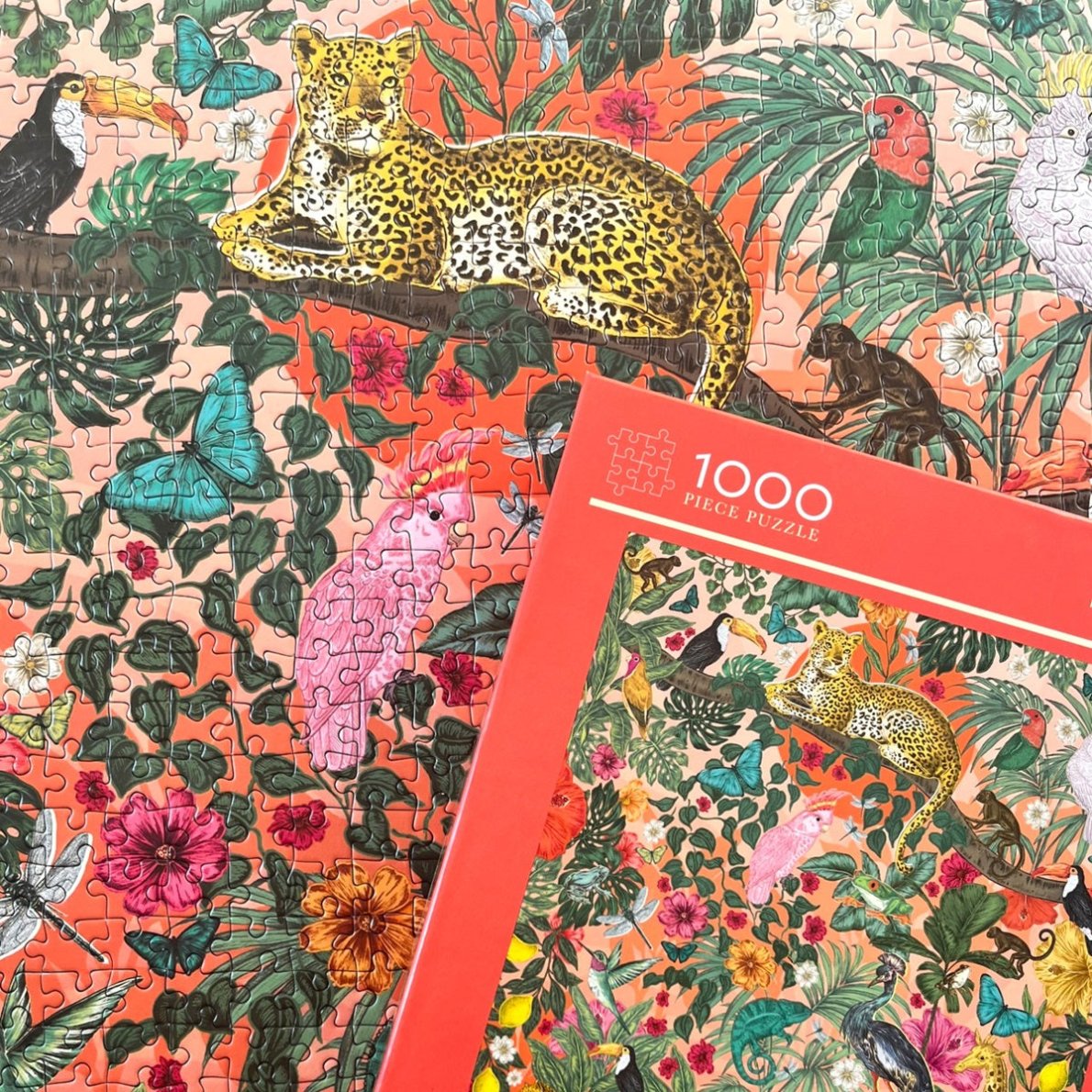 The Art File Soileil 1000 Piece Jigsaw Puzzle for adults – Gibsons US