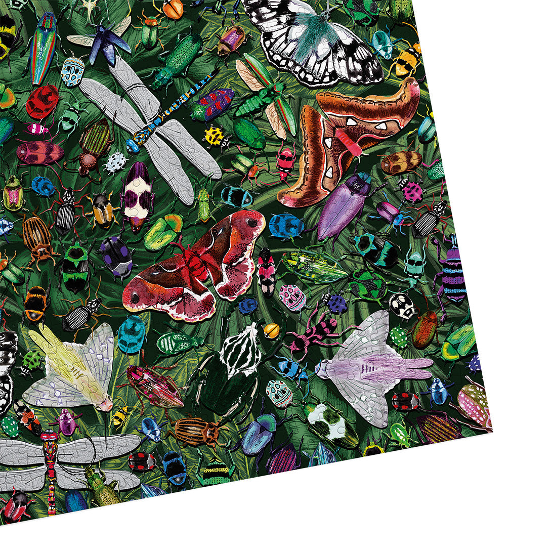 Gibsons The Art File Winged Wonders 1000 Piece Jigsaw Puzzle
