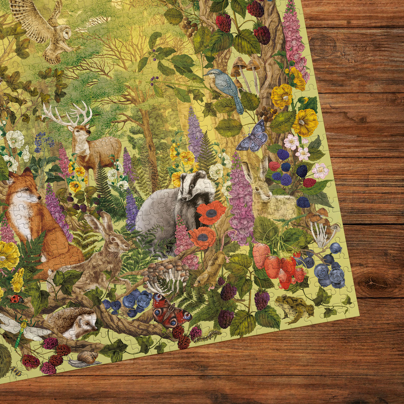 Gibsons The Art File Sunlight Glade 1000 Piece Jigsaw Puzzle for
