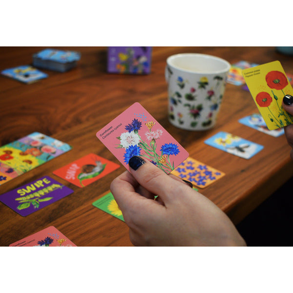 Gibsons RHS Swapple Family Card Game – Gibsons US